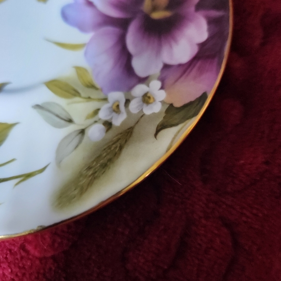 DUCHESS Fine Bone China Tea Cup and Saucer Vintage No Blemishes Made in England - Picture 8 of 10